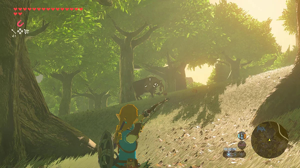 Jeu vidéo - The Legend of Zelda: Breath of the Wild - Nintendo Switch 2 Edition