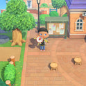 Jeu vidéo - Animal Crossing : New Horizons - Nintendo Switch 2 Edition