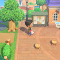 Jeu vidéo - Animal Crossing : New Horizons - Nintendo Switch 2 Edition