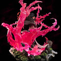 Figurine Demon Slayer - Nezuko Kamado : La Détermination Incarnée
